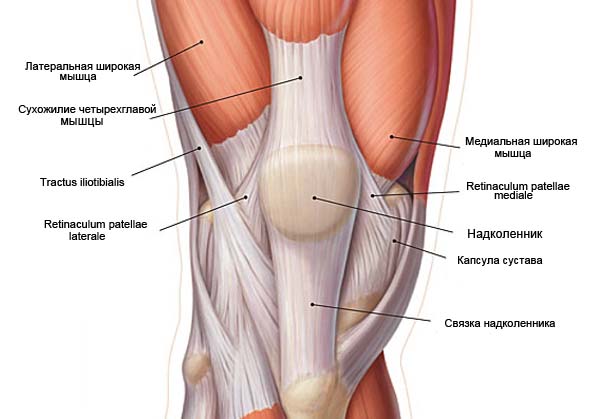 Реабілітація після перелому коліна зі зміщенням.  Які бувають переломи надколінків, і як їх лікують